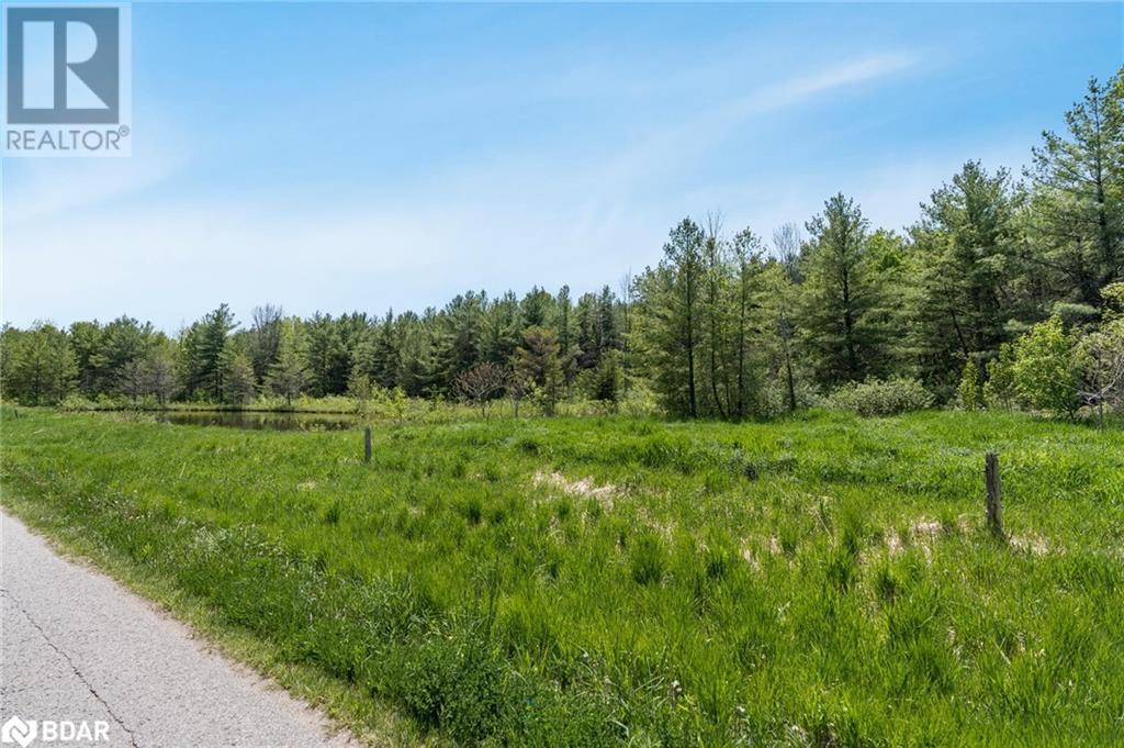 Listing 40428424 - Large Photo # 4