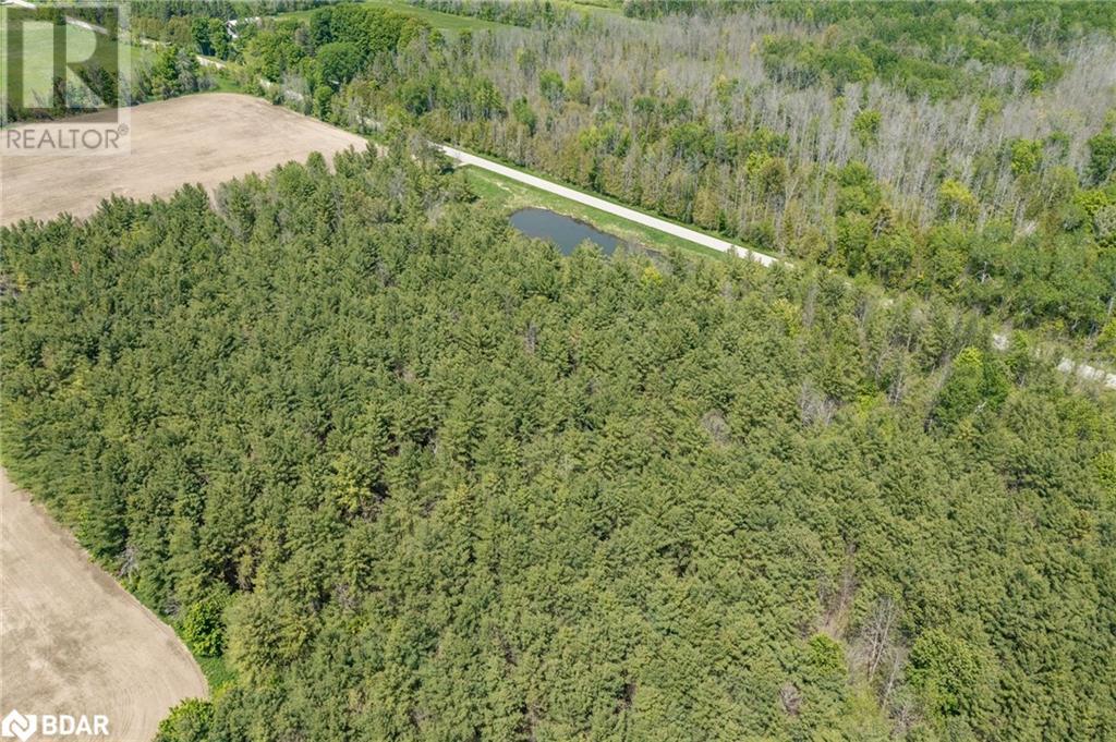Listing 40428424 - Large Photo # 8