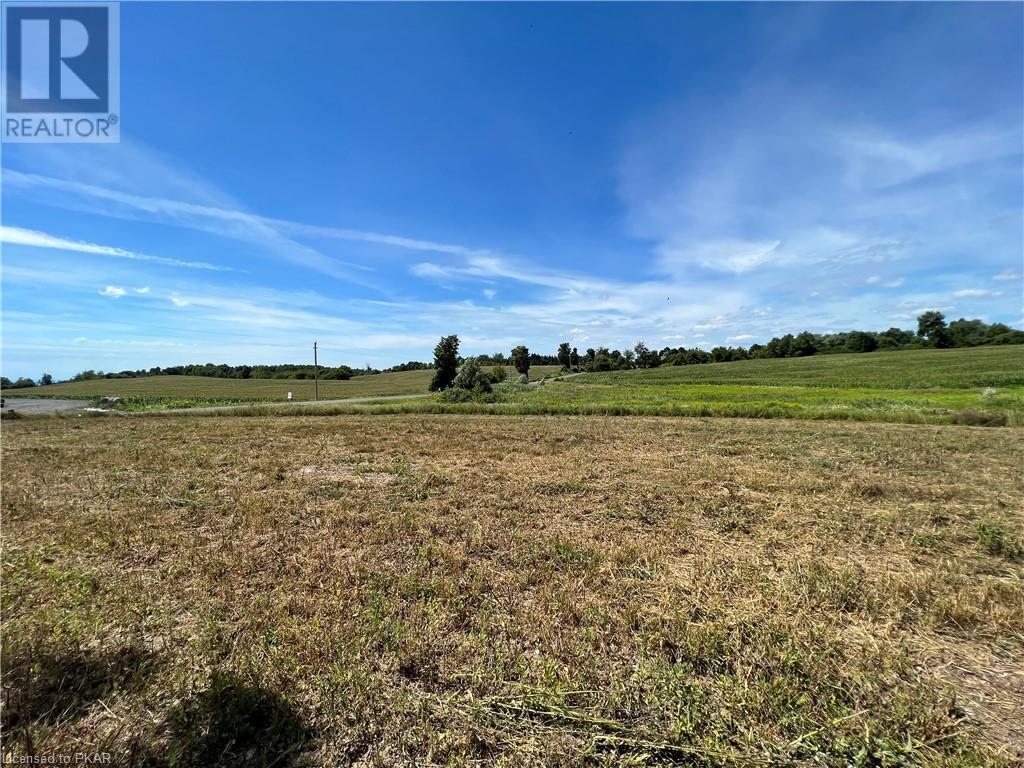 Listing 40429261 - Large Photo # 4