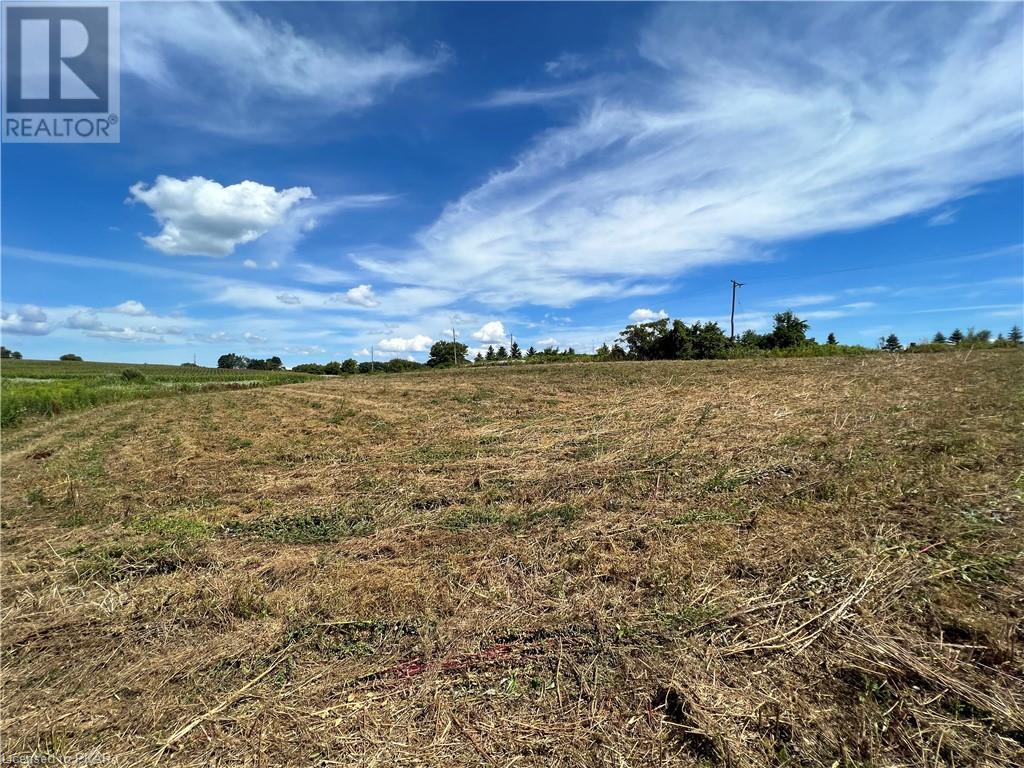 Listing 40429261 - Large Photo # 5