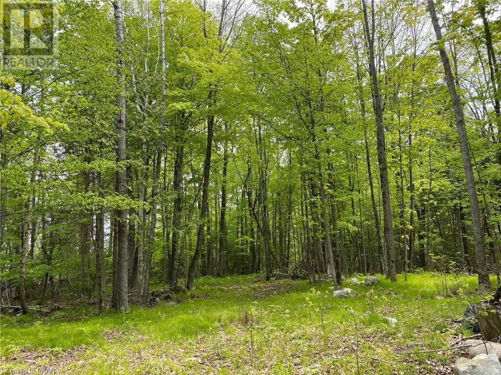 Listing 40432661 - Large Photo # 6