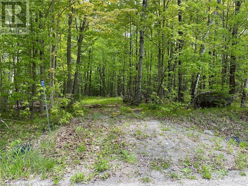 Listing 40432661 - Large Photo # 9