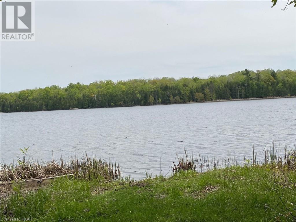 Listing 40432661 - Large Photo # 14