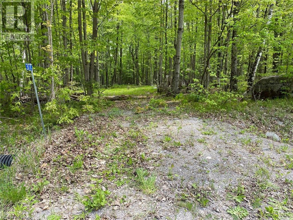 Listing 40432661 - Large Photo # 10
