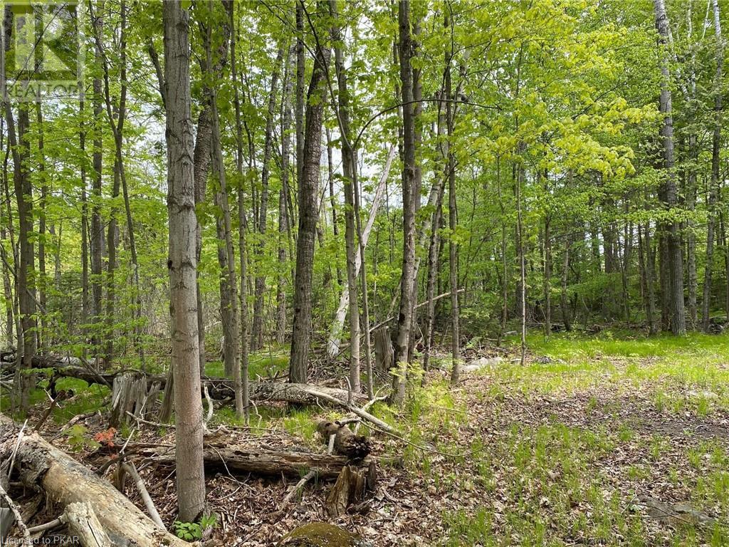 Listing 40432661 - Large Photo # 4
