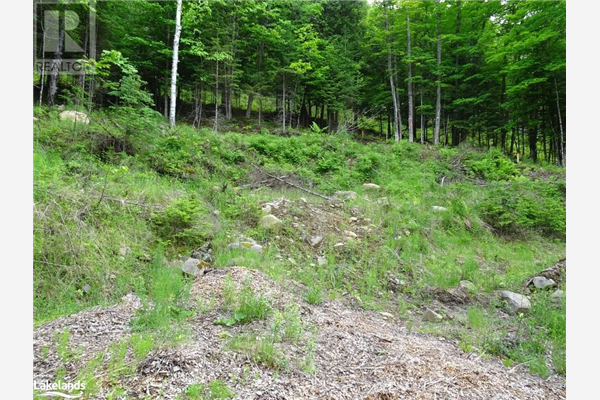 1084 FRED JONES Road, Haliburton