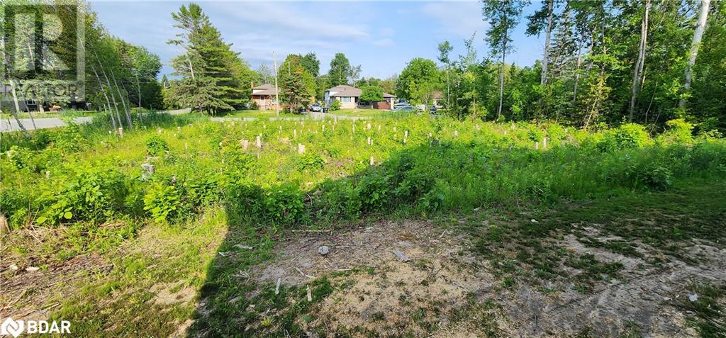 Listing 40438538 - Large Photo # 3