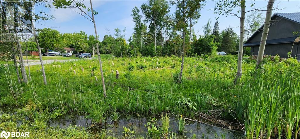 Listing 40438538 - Large Photo # 6