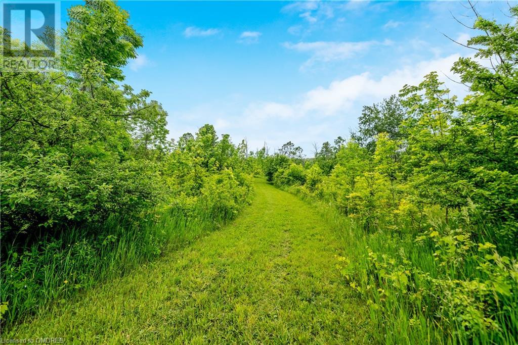 Listing 40440886 - Large Photo # 39