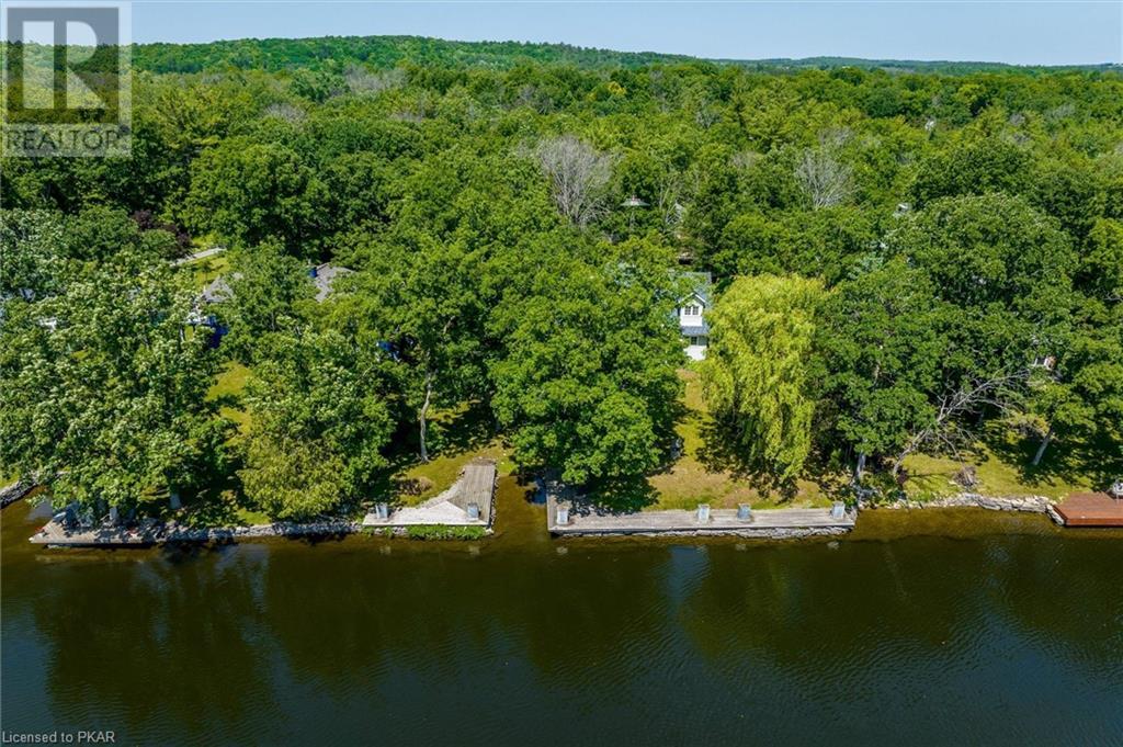 Listing 40441568 - Large Photo # 39
