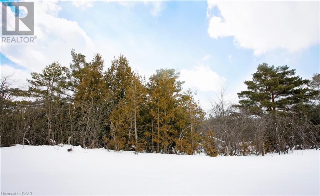 Listing 40442008 - Large Photo # 46