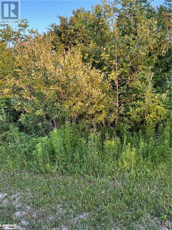 Listing 40442405 - Large Photo # 3
