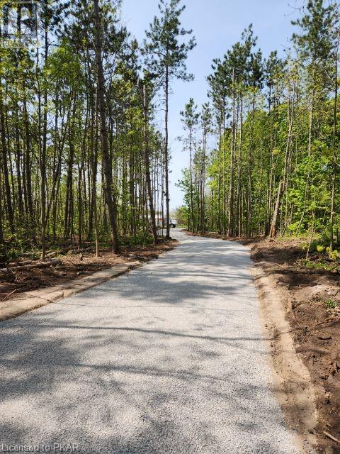 Listing 40446376 - Large Photo # 5