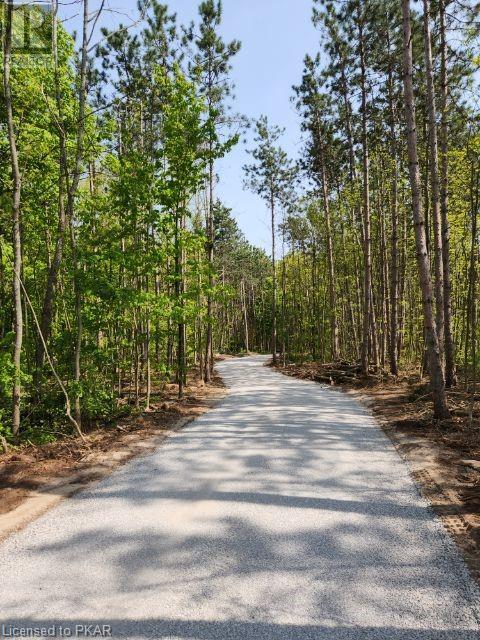 Listing 40446376 - Large Photo # 3