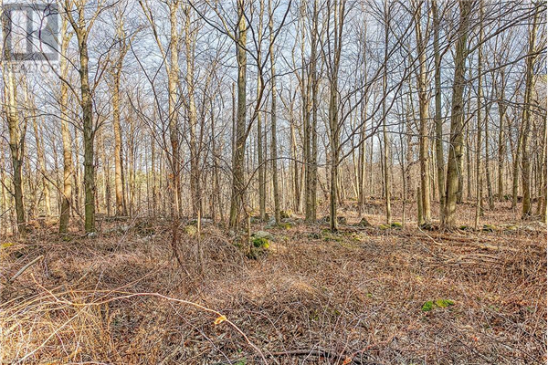 5650 CEDAR SPRINGS Road, Burlington