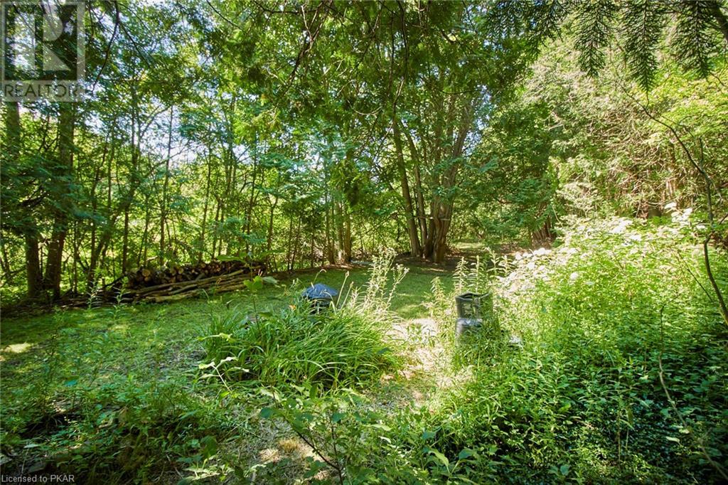 Listing 40447974 - Large Photo # 5