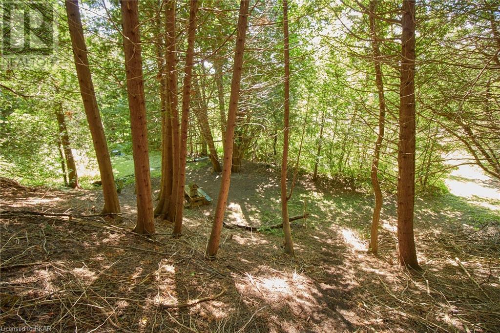Listing 40447974 - Large Photo # 10
