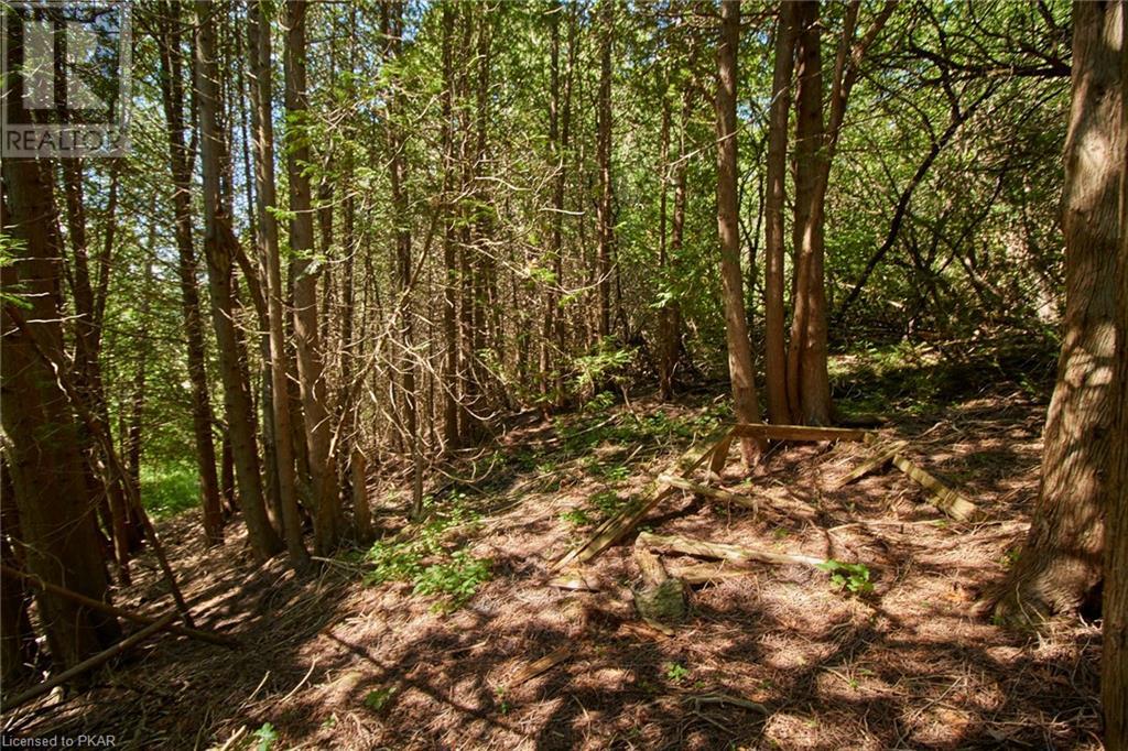 Listing 40447974 - Large Photo # 14