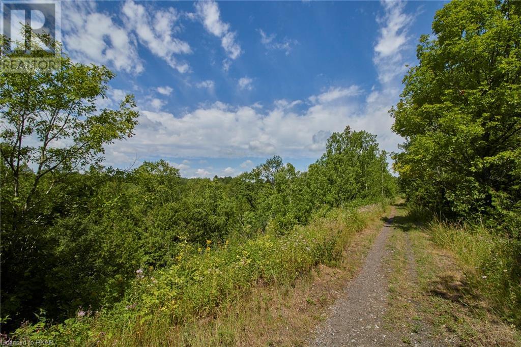 Listing 40447974 - Large Photo # 26