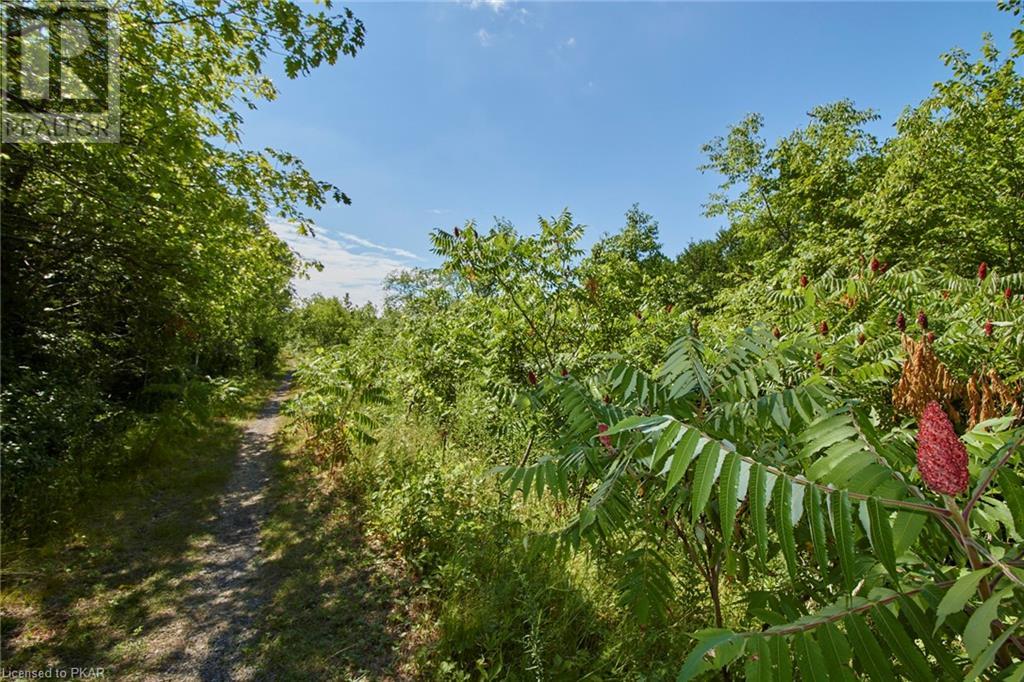 Listing 40447974 - Large Photo # 27