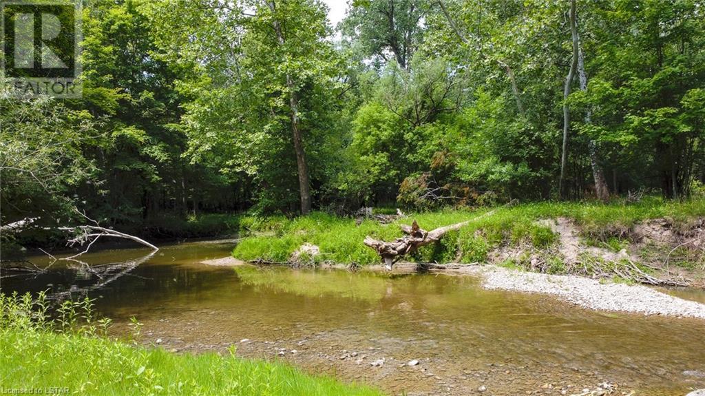 Listing 40448073 - Large Photo # 12