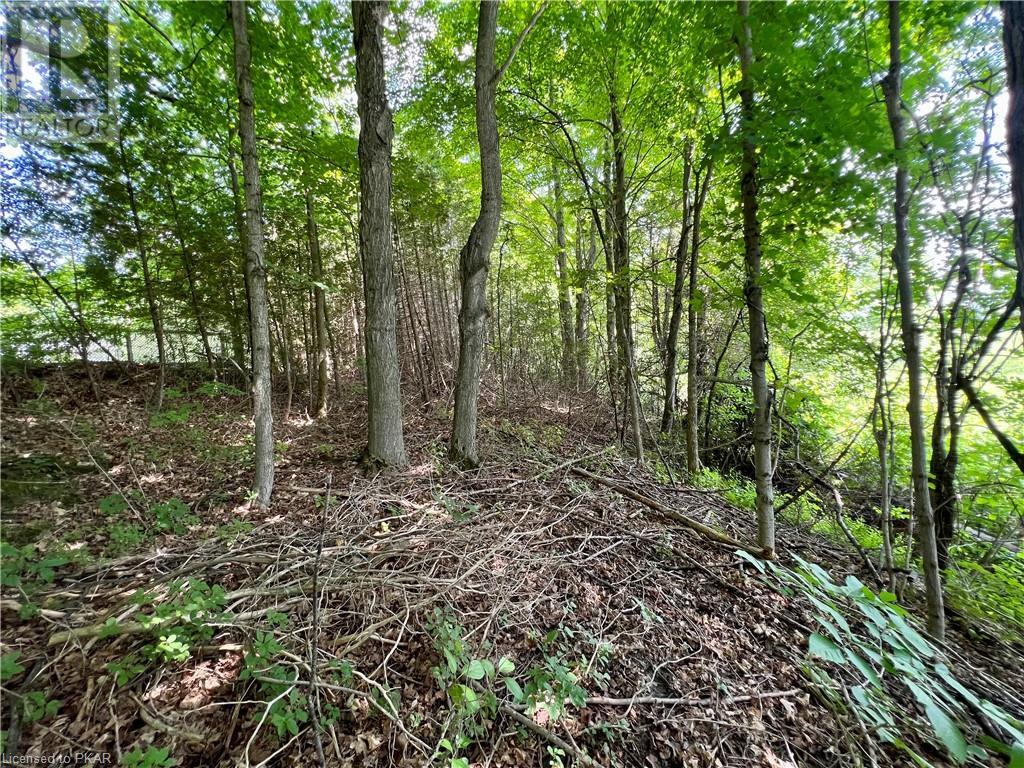 Listing 40448990 - Large Photo # 28