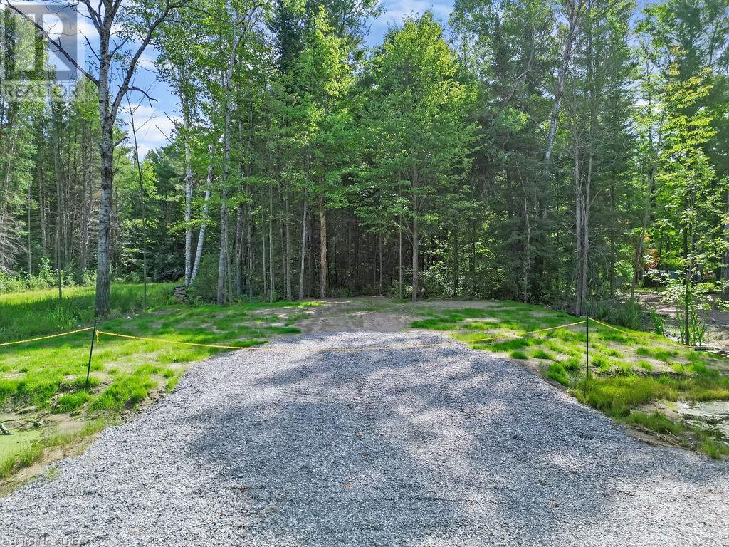 Listing 40450006 - Large Photo # 12