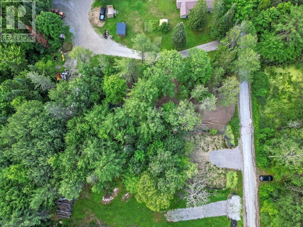 Listing 40450006 - Large Photo # 7