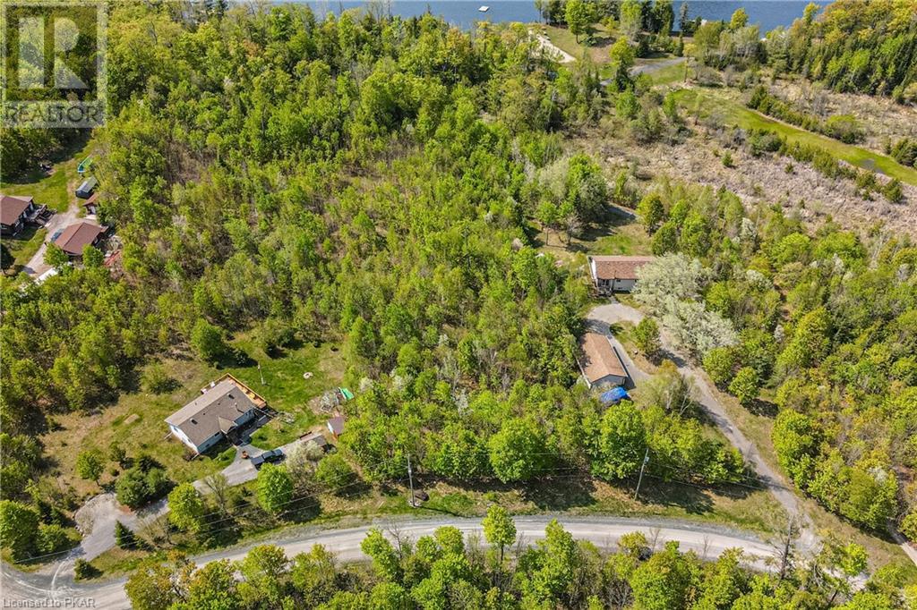 Listing 40456366 - Large Photo # 6