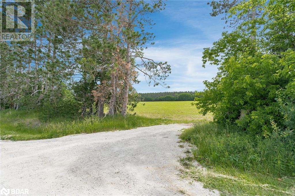 Listing 40457116 - Large Photo # 8