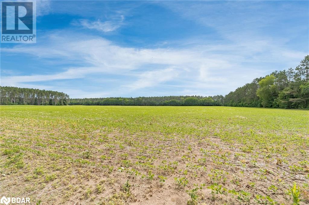 Listing 40457116 - Large Photo # 13