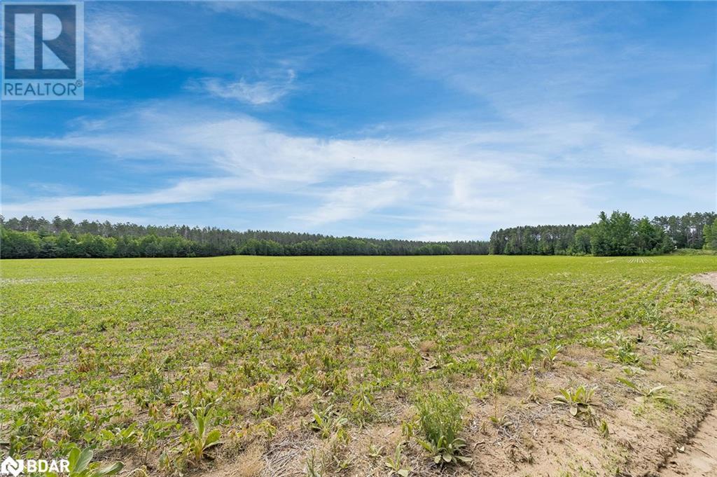 Listing 40457116 - Large Photo # 12