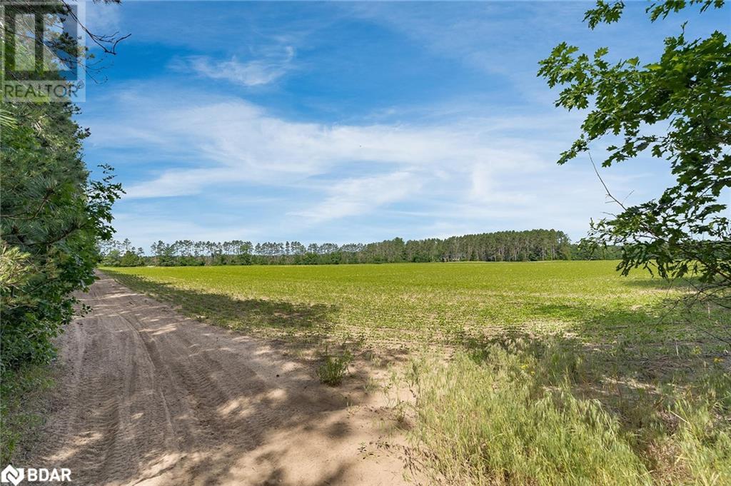 Listing 40457116 - Large Photo # 9