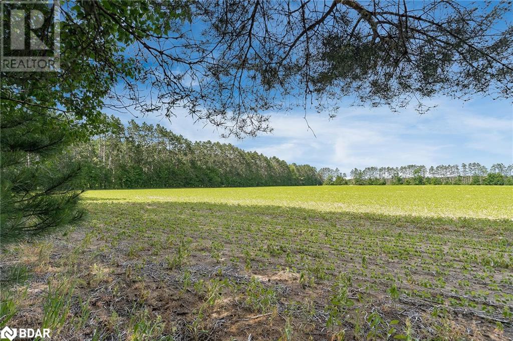 Listing 40457116 - Large Photo # 10