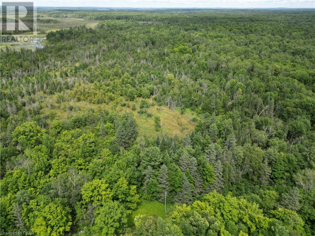 Listing 40457400 - Large Photo # 9