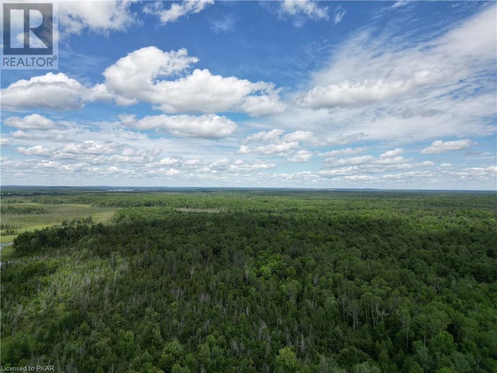 Listing 40457400 - Large Photo # 6