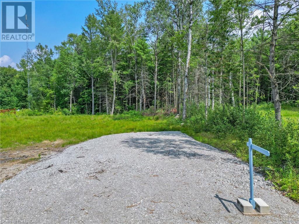Listing 40459415 - Large Photo # 11