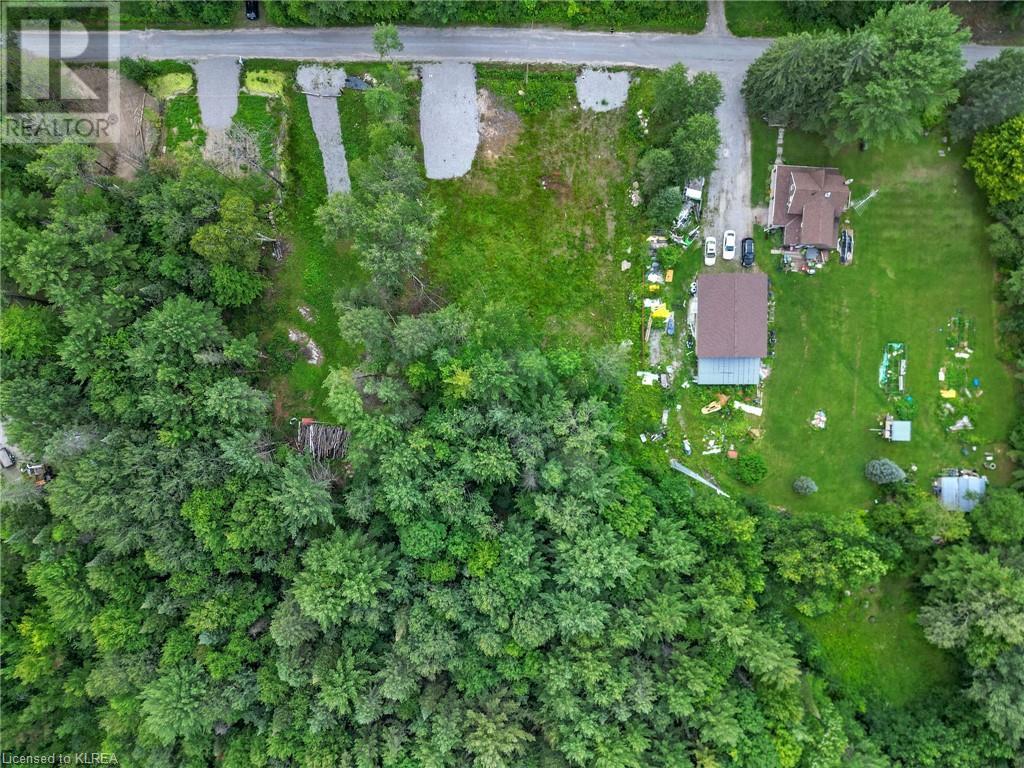 Listing 40459415 - Large Photo # 5