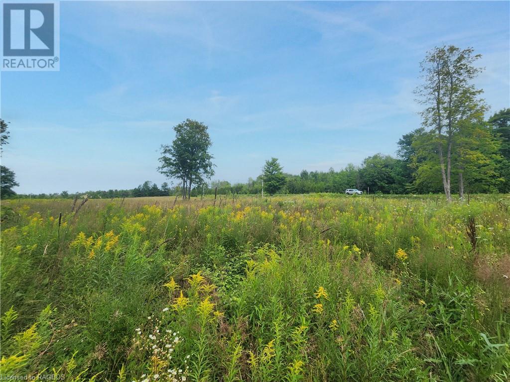 501325 GREY ROAD 1
