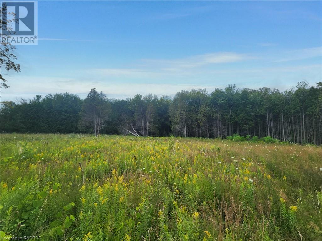 501325 GREY ROAD 1