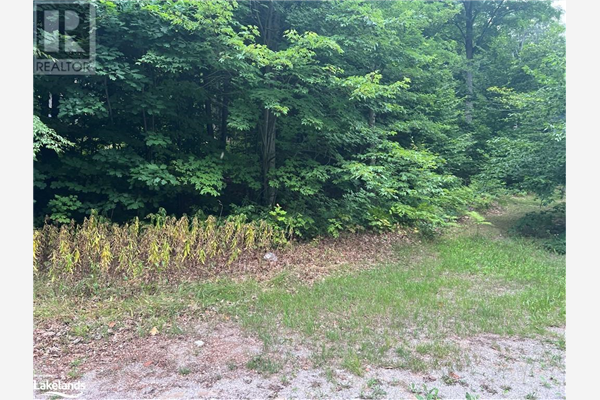 154 FARLAIN LAKE Road W, Tiny