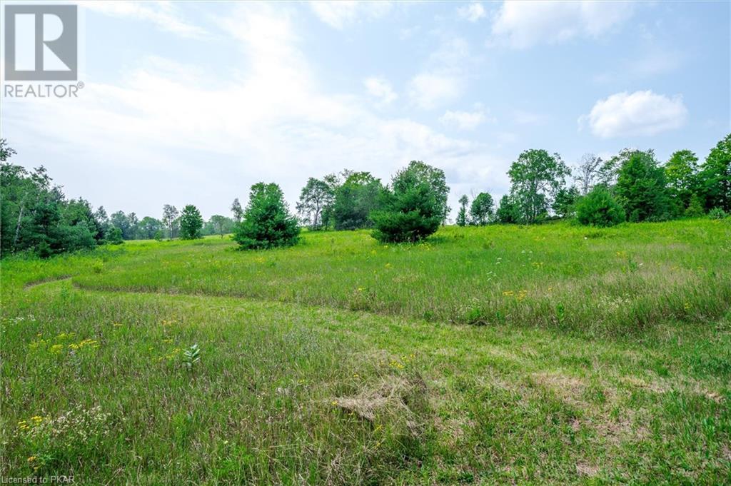 Listing 40461250 - Large Photo # 11