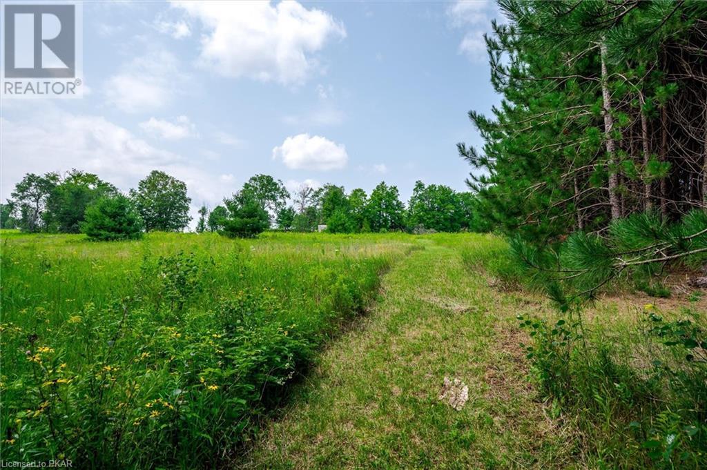 Listing 40461250 - Large Photo # 10