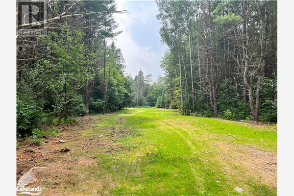 1059 ABLETT Court, Haliburton