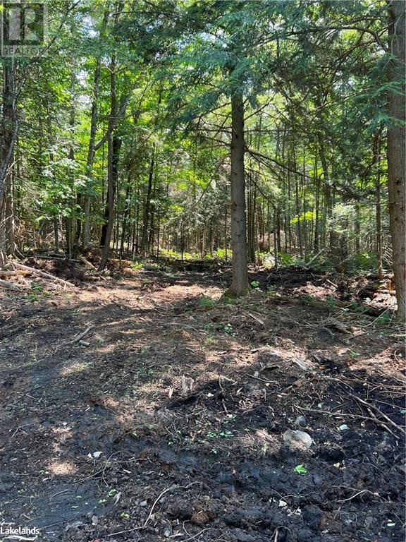 LOT 29 WEST Court