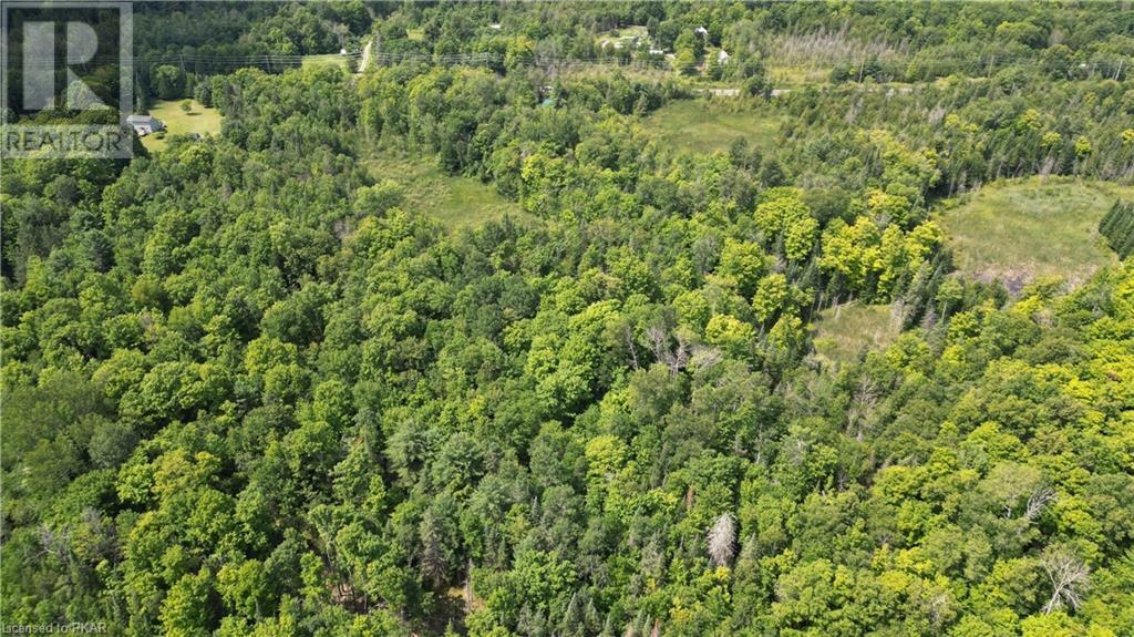 Listing 40464480 - Large Photo # 5