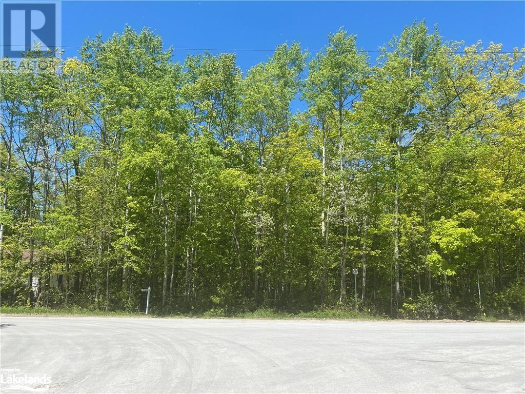 Listing 40465247 - Large Photo # 2