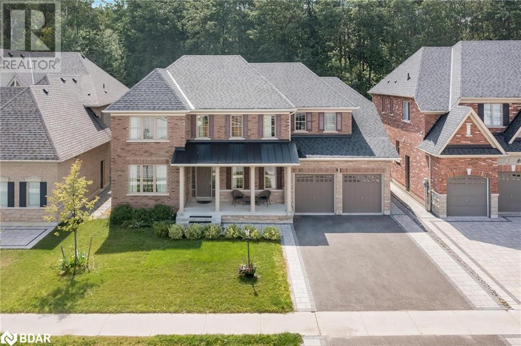 81 TRAIL Boulevard