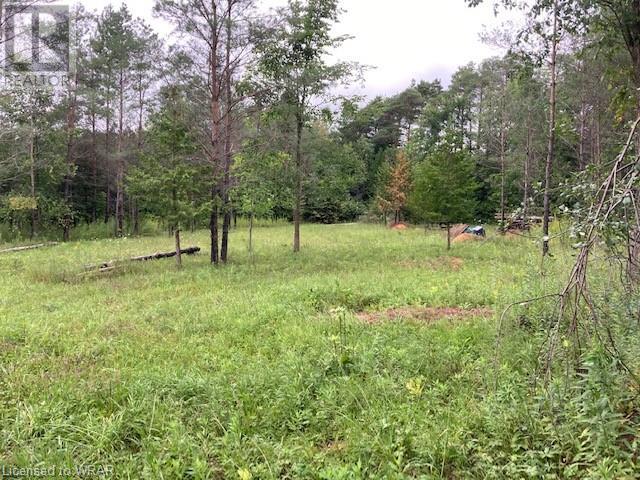 236370 2B Concession