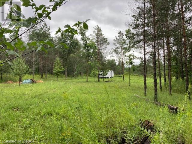 236370 2B Concession